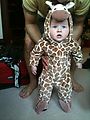 Lyra - Giraffe (Photo by Laura)