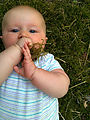 Lyra - Tasting Moss Lyra - Tasting Moss
