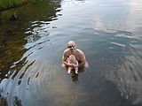 Swimming - Geoff - Lyra (Photo by Dottie) Swimming - Geoff - Lyra (Photo by Dottie)