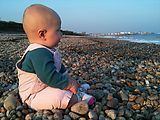 Willow Dell - Beach - Lyra Willow Dell - Beach - Lyra