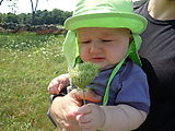 Lyra (Photo by Dottie) Lyra (Photo by Dottie)