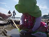 Beach - Lyra Beach - Lyra