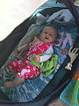 Beach - Tent - Napping - Napping - Tent - Lyra (Photo by Dottie) Beach - Tent - Napping - Napping - Tent - Lyra (Photo by Dottie)