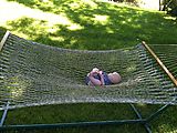 Hammock - Lyra Hammock - Lyra