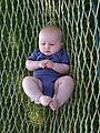 Hammock - Lyra Hammock - Lyra