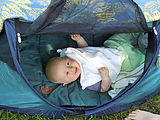 Tent - Napping - Lyra (Photo by Dottie) Tent - Napping - Lyra (Photo by Dottie)
