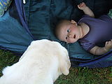 Tent - Napping - Mona - Lyra (Photo by Dottie) Tent - Napping - Mona - Lyra (Photo by Dottie)