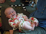 Lyra (Photo by Dottie) Lyra (Photo by Dottie)