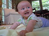 Lyra (Photo by Dottie) Lyra (Photo by Dottie)