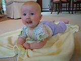 Lyra (Photo by Dottie) Lyra (Photo by Dottie)