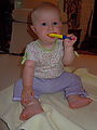 Lyra (Photo by Dottie) Lyra (Photo by Dottie)