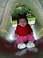 Volunteer Park - Lyra - In Tube Volunteer Park - Lyra - In Tube