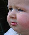 Lyra - Tear - Brief Sadness Lyra - Tear - Brief Sadness
