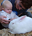 Lyra - Animals - Bunnies - Laura Lyra - Animals - Bunnies - Laura