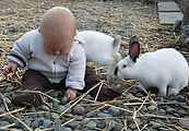 Lyra - Animals - Bunnies Lyra - Animals - Bunnies