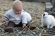 Lyra - Animals - Bunnies Lyra - Animals - Bunnies