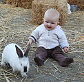 Lyra - Animals - Bunnies Lyra - Animals - Bunnies