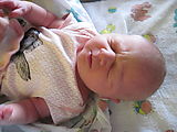 Lyra (Photo by Liz)