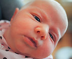 20100314 1125 P49NK - Lyra - 2weeks