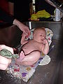 First Bath - 06 - Lyra
