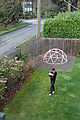 Out in the Backyard - Laura - Lyra Out in the Backyard - Laura - Lyra