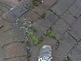 Roof - Old