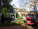 20091103 0952 P414X - House - Roof - 41