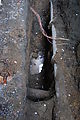Holes