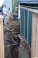 More Digging