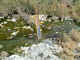 Warning sign at Trego Hot Springs source (7/12 4:19 PM)