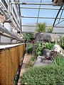 Biosphere II greenhouse (8/09 3:36 PM)