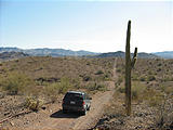 Swansea Ghost Town - Heading Southeast From Swansea - Jeep Cactus - Road