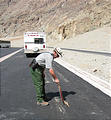 Death Valley - Badwater - Chuckwalla - Ranger moving lizard with sign (May 28, 2006 3:13 PM)