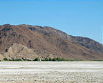 Mojave Desert - Soda Lake - Zzyzx Springs (May 29, 2006 8:05 AM)