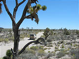 Mojave Desert - Joshua Tree (May 29, 2006 10:53 AM)