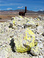 Black Rock Desert - Sulphur - Pile of Sulfur Ore (June 3, 2006 3:02 PM)