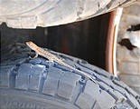 Utah - Crater Island - Tungsten Mill - Small Lizard on Tire