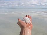 Bonneville Salt Flats - Laura, Salt in Hand (2:48 PM Oct 3, 2005)