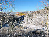 Reservation Ridge - Snow - Aspens (8:59 AM Oct 5, 2005)