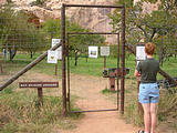 Capitol Reef National Park - U Pick Apples - Laura (3:09 PM Oct 12, 2005)