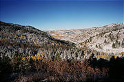 Reservation Ridge - Snow - Aspens
