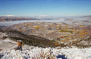 Reservation Ridge - Snow - Aspens