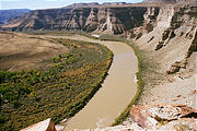 Horse Bench - Green River