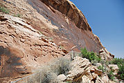 Sand Island Petroglyphs