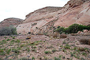 Butler Wash Petroglyphs - Midden - Potsherds