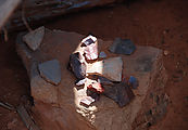 Cedar Mesa - Lime Creek Tower Ruins - Wood Shelter - Wood Shelter