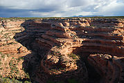 Cedar Mesa - Canyon - Citadel Ruin Trail