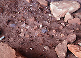 Cedar Mesa - Lower Mule Canyon Ruins - Corn Cobs