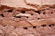 Cedar Mesa - Lower Mule Canyon Ruins - Holes