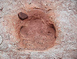 Moab - Dinosaur Footprints